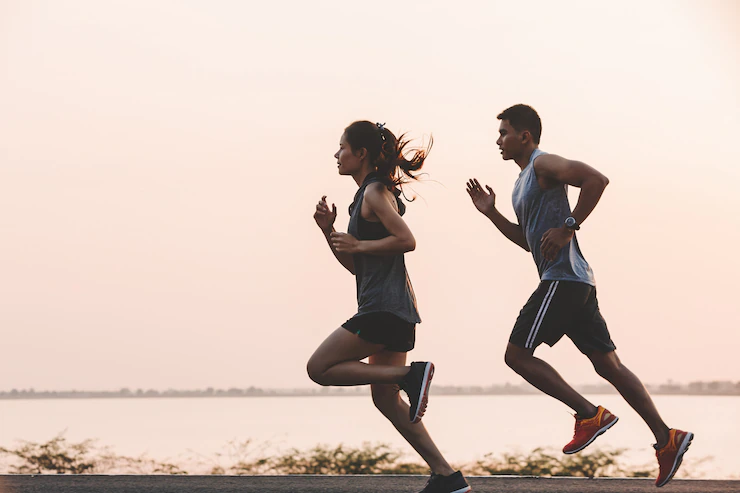 Exercise Database API: The Most Complete Guide