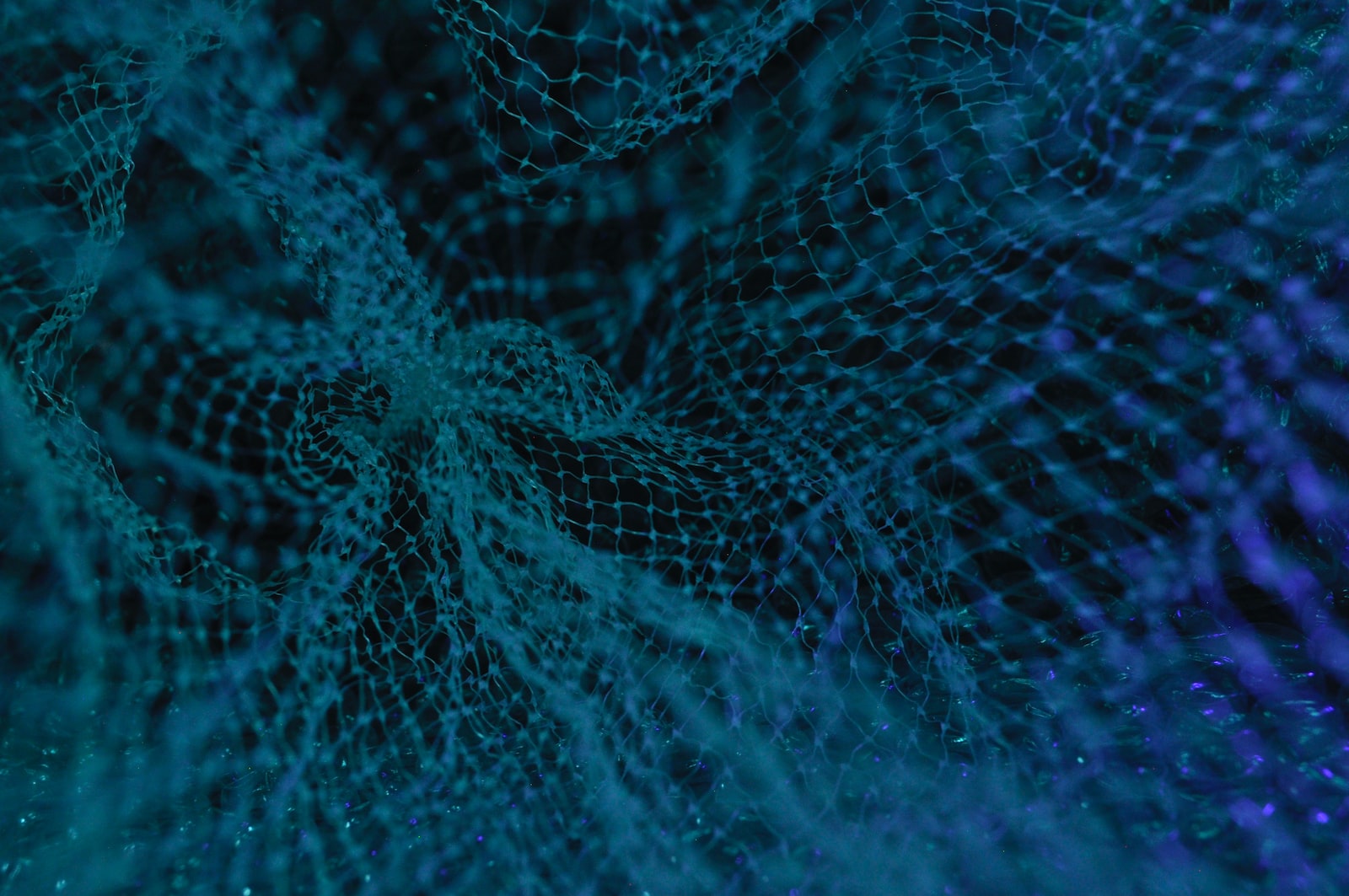 Detecting Objects Has Never Been So Easy Thanks To This API