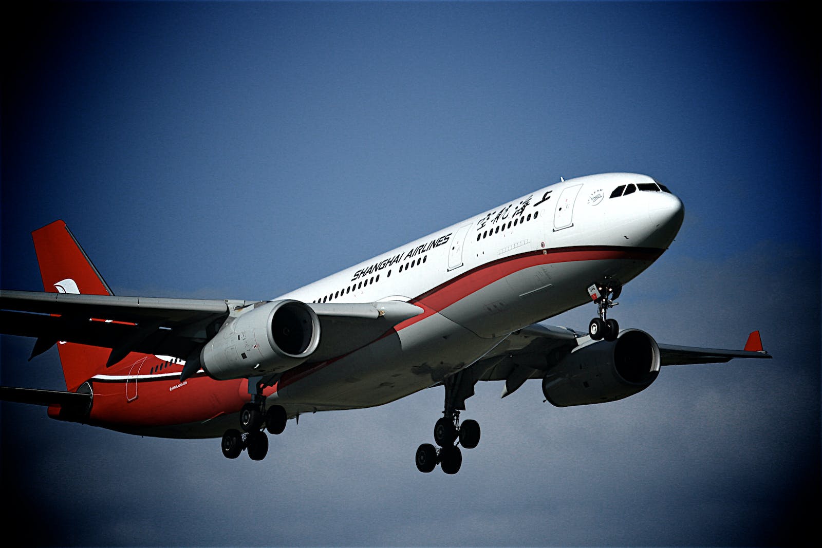 Unlocking The Potential Of A Flight API For Travelers
