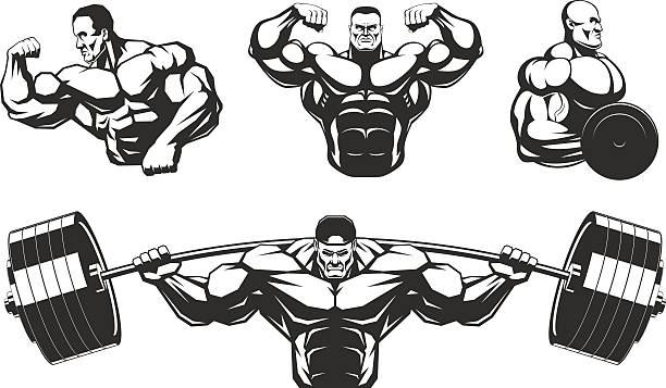 Use This API To Search Muscles Training Information In 2023