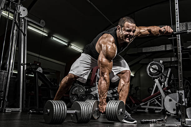 Use This API To Get An Extensive Muscle List In One Click