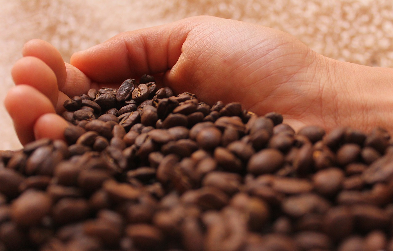 Seize The Bean: Access Arabica Coffee Continuous Contract Data Via An API