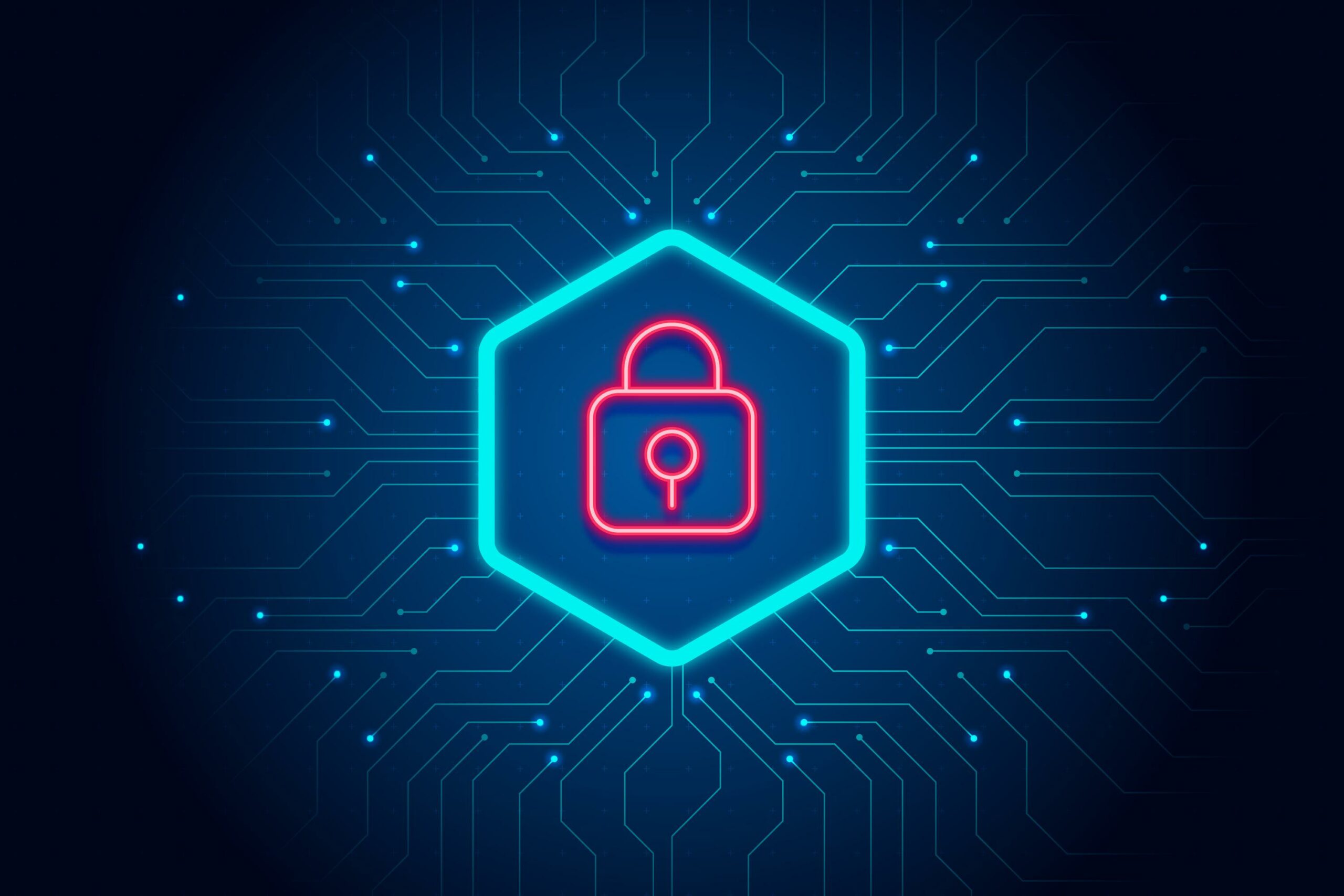 Use The IP Address API To Enhance Network Security